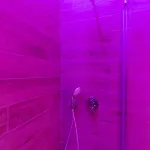 Toledo Rose Pensionat 4*