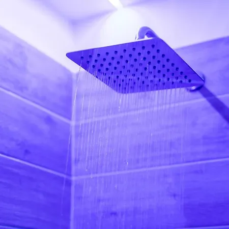 Pensionat Toledo Rose