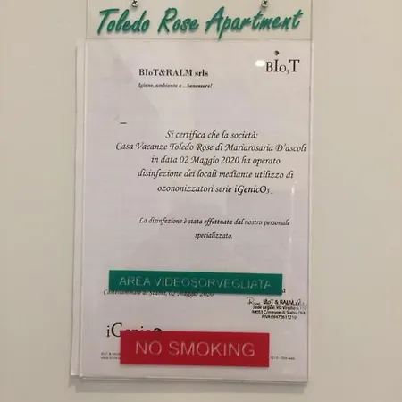 Toledo Rose Pensionat 4*